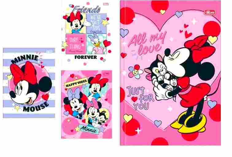 AGENDA INF BROCHURA  MINIE 